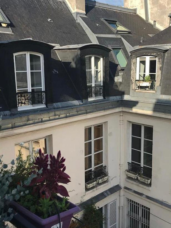 Fenêtre en bois sur mesure pour appartement parisien